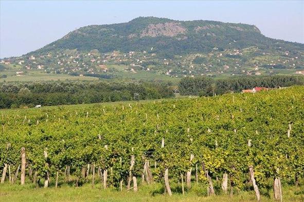 Badacsony: z vinogradniških gričev v podzemno jezero