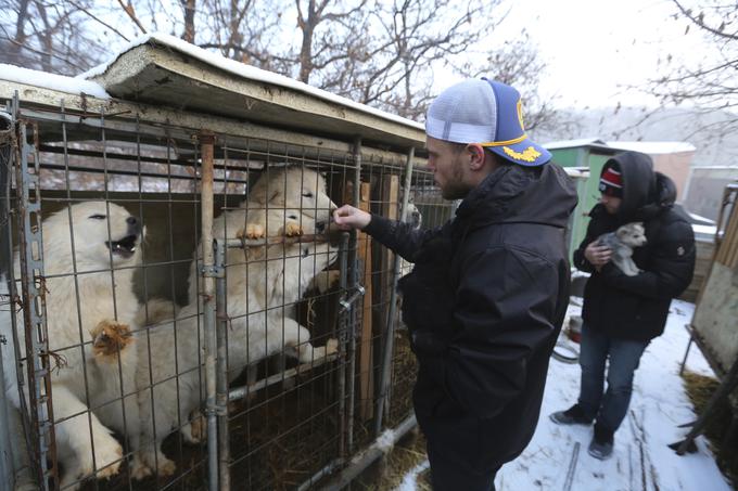 Med obiskom pasje farme v Južni Koreji, kjer pse gojijo za zakol.  | Foto: Guliverimage/Vladimir Fedorenko