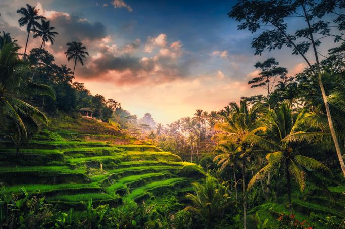 Bali | Foto: Shutterstock
