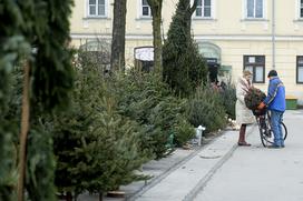 Božična drevesa jelke smreke ljubljanska tržnica