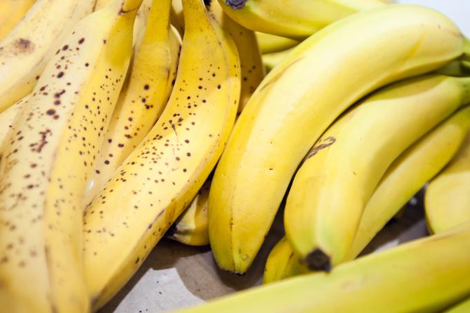 Daleč najbolj priljubljena in prepoznavna vrsta banan, cavendish, ne more razviti odpornosti proti panamski bolezni, saj so vse plantažne banane kloni druga druge in se ne razmnožujejo po naravni poti. S tem tudi nimajo možnosti, da bi razvile evolucijski mehanizem za zaščito zoper bolezni, kot je panamska bolezen. | Foto: Thinkstock