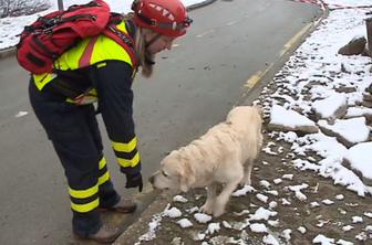 Kako je videti izpit za reševalnega psa? #video