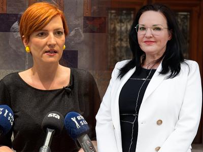 Gotarjeva Vrečkovi: Zavajate na celi črti in me blatite!