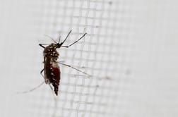 Nova teorija zarote: virus Zika je biološko orožje za masovno pobijanje ljudi
