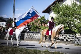 Posavsko štehvanje