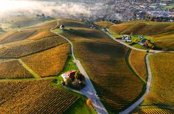 Slovenska Toskana, ki vas bo očarala: vino, razgled in popoln mir med vinogradi #nagradnaigra