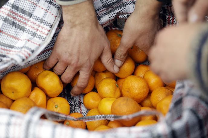 Mandarine | Uporaba klorpirifosa, ki je še posebej škodljiv za zdravje otrok, je v Evropski uniji prepovedana od leta 2020. | Foto Guliverimage