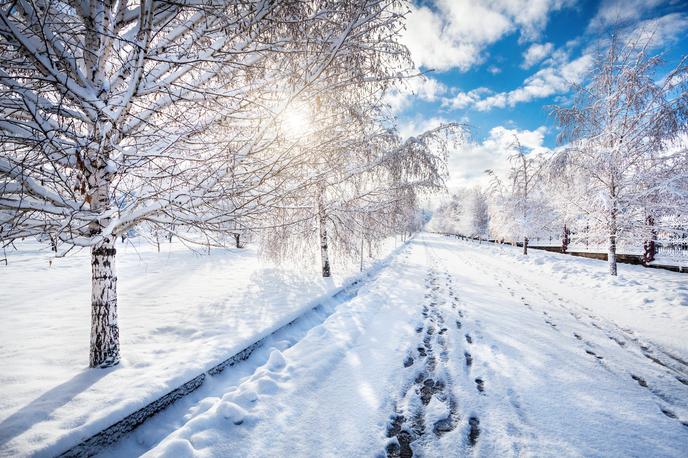 sneg sonce sončen snežni dan | Foto Thinkstock