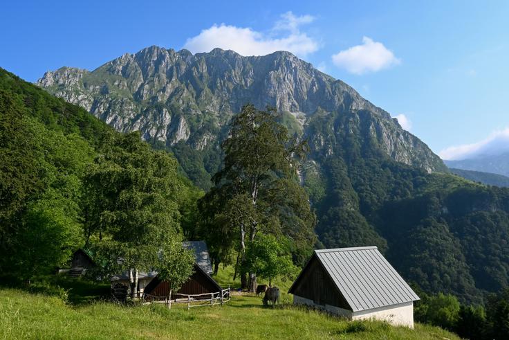 Idilična planina Laški seč s kuliso Stadorja in Rdečega roba | Foto: Matej Podgoršek
