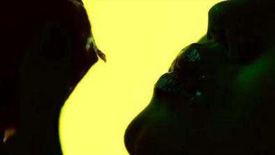 Sveži videospot zasedbe Animal Collective režiral Gaspar Noé