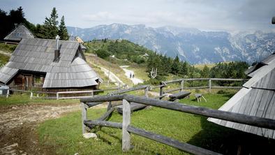 Na Veliko planino na štruklje in visokogorski oddih