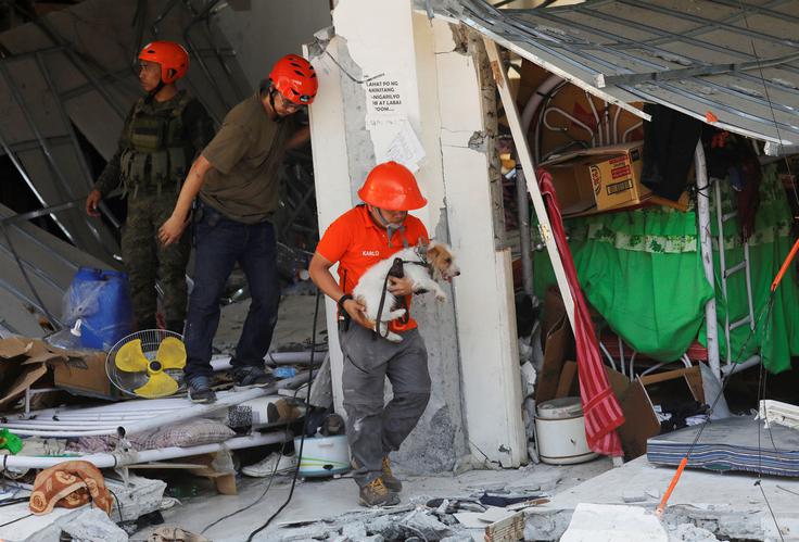 Reševalci med ruševinami poskušajo najti preživele. | Foto: Reuters
