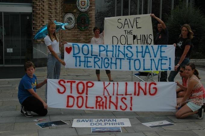 Globalni protest proti pobijanju delfinov na Japonskem, ki je potekal tudi v Ljubljani | Foto: 