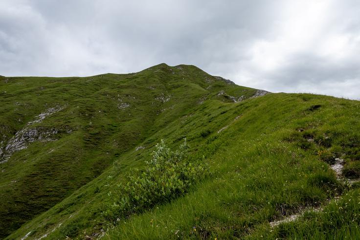 Uro in pol vzpona po južnem pobočju Muzca je strmina z veliko začetnico. | Foto: Matej Podgoršek