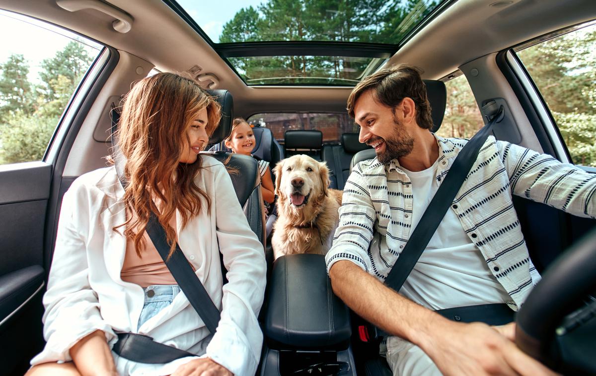 vožnja, avto, pes | Na agenciji za varnost prometa poudarjajo, da visoke temperature, zastoji in spremembe voznih razmer zaradi neviht ali toče vplivajo na vozne sposobnosti, vse to pa od udeležencev v prometu zahteva večjo previdnost. | Foto Shutterstock