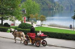 Konj se je splašil in prevrnil kočijo s turistkama, ki sta se poškodovali