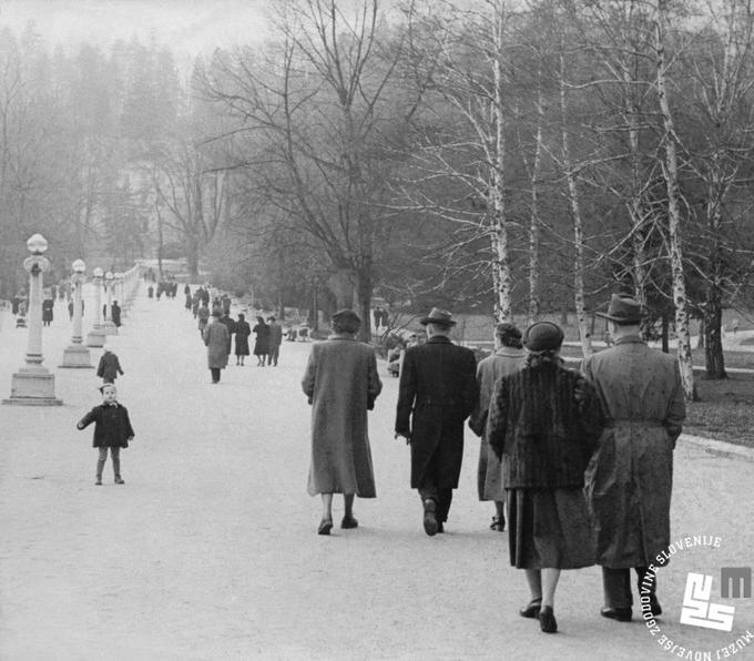 Med letoma 1921 in 1939 je Plečnik urejeval tudi Park Tivoli, eden glavnih posegov pa je promenada. Sprehajališče je uredil kot peščeno pot z robniki in steklenimi svetilkami na betonskih nosilcih po sredini ter klopmi ob straneh ter z novo zasajenim kostanjevim drevoredom. | Foto: Muzej novejše zgodovine Slovenije