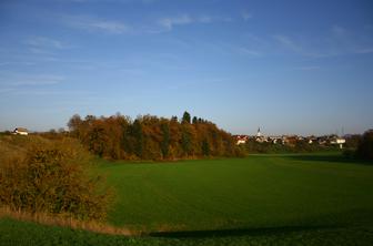 Vas, v kateri skoraj ni hiše brez rakavega bolnika #video