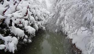 Toliko centimetrov snega so izmerili v krajih po Sloveniji #video