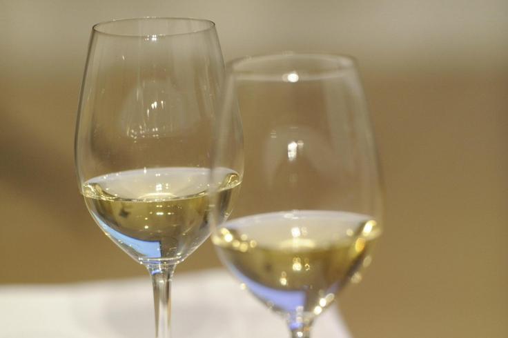 Martinovanje, vino | Foto: STA