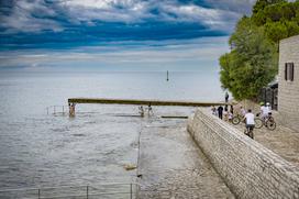 Novigrad