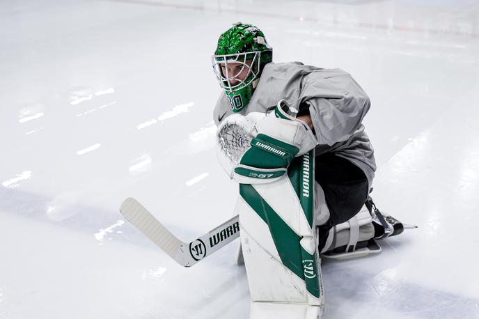 Luka Kolin | Priložnost v vratih risov je danes dobil Luka Kolin. | Foto Aleš Fevžer