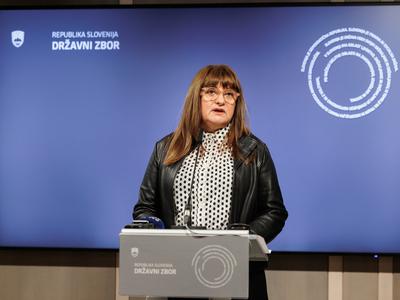 Preiskovalna komisija DZ končuje preiskavo o obvodnem financiranju političnih strank