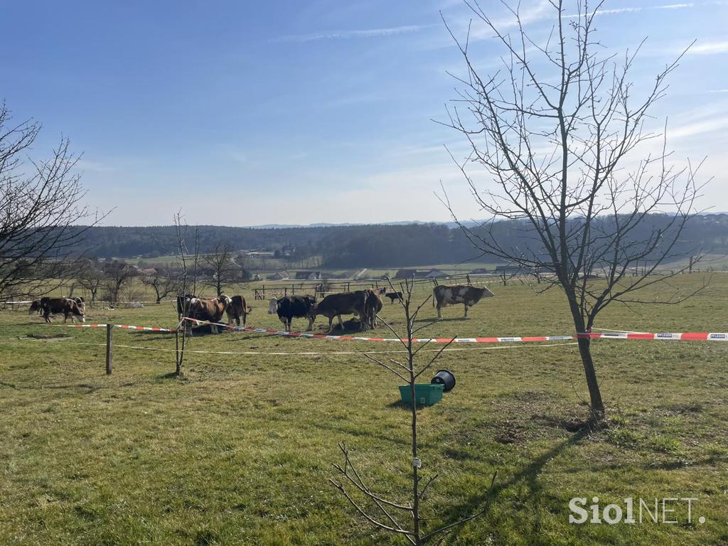 Požar v okolici Svete Trojice, gasilci, hlev