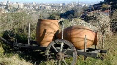Gruzijski vinarji se hočejo odlepiti od Rusije