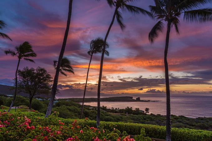 Leta 2012 je Ellison za okrog 280 milijonov evrov kupil Lanai, šesti največji havajski otok. | Foto: Thinkstock