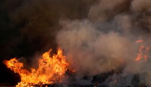 Požari na Korziki in Portugalskem