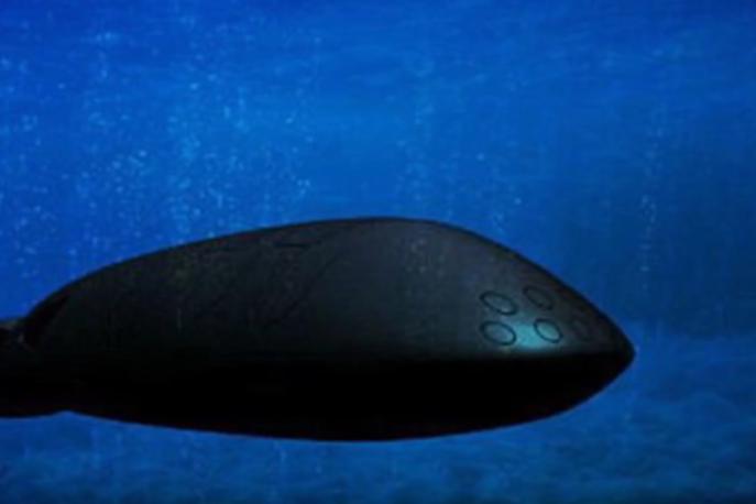 Orožje pozejdon | Tuji mediji to brezpilotno podmornico vztrajno opisujejo kot orožje sodnega dne. | Foto YouTube/Posnetek zaslona