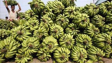 Spodnje perilo iz banan
