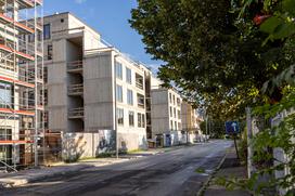 Bežigrajska petka, avgust 2025