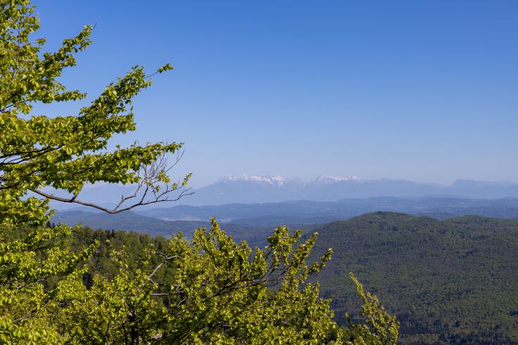 Pogled do Kamniško-Savinjskih Alp. | Foto: Matej Podgoršek