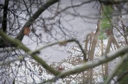 Burna noč: narasli potoki, zalite kleti, plazovi in podrta drevesa (video)