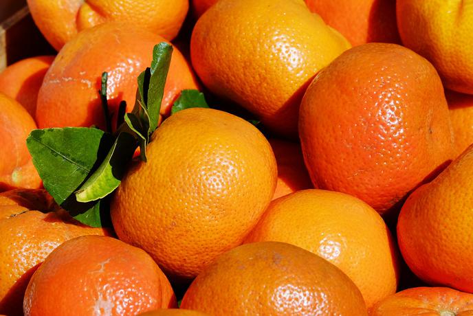 Južna Koreja severni sosedi poslala 200 ton mandarin