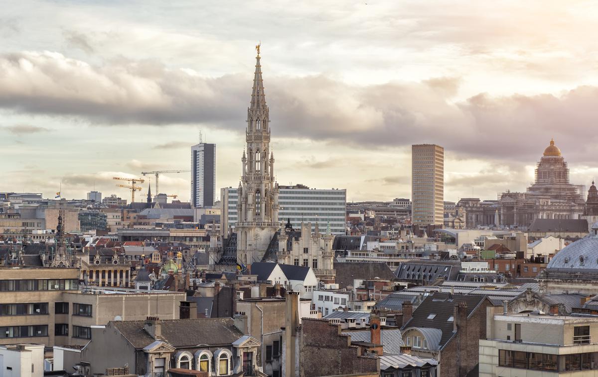 Bruselj | V nasprotju s flamsko stranko Vlaams Belang, največjo skrajno desno stranko v državi, TRUMP ne zagovarja separatizma, je v ponedeljek Nicotra dejal za lokalni medij Bruzz, ki ga povzema bruseljski portal Politico. | Foto Shutterstock