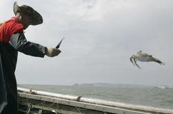V pretepu pred obalo Južne Koreje ribič usodno poškodoval častnika