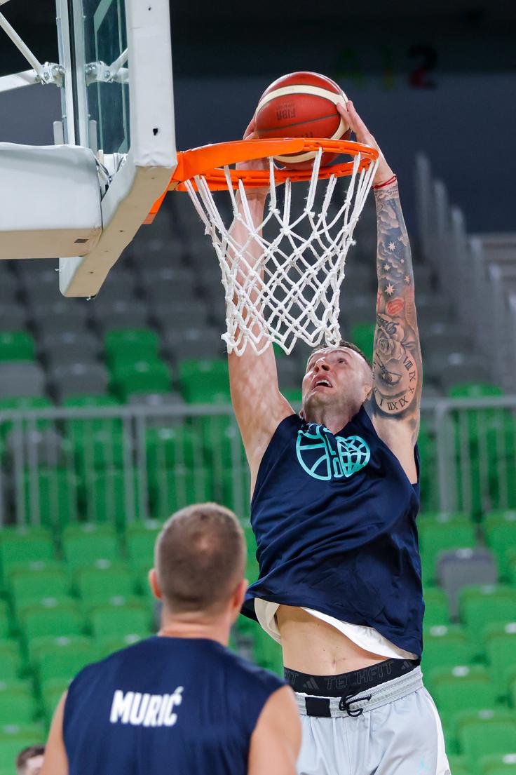 Alen Omić | Foto: Aleš Fevžer