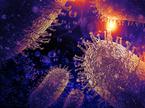 Steklina, virus