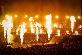 Siddharta, 30 let, Stožice