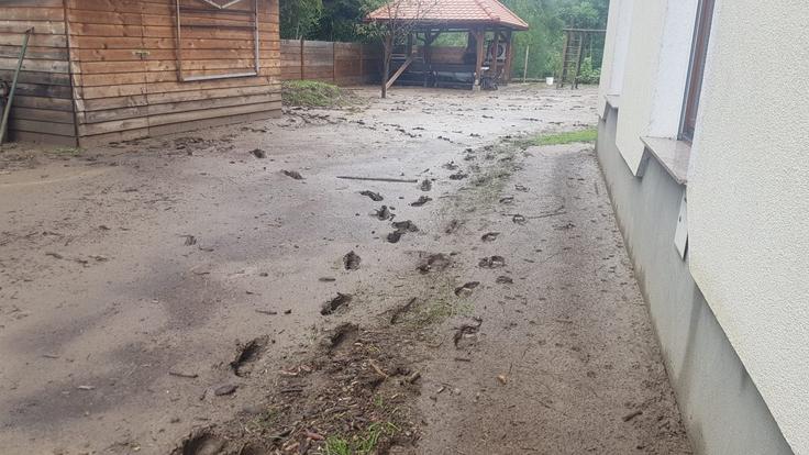 Neurje, Nevihta, poplave | Foto: STA ,