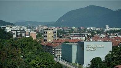 Pivovarna Union išče interesente za nakup Fructala