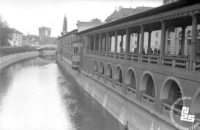 V Ljubljani so Plečniku zaupali tudi novo tržnico, ki jo je zasnoval kot niza pokritih tržnic ob reki v dveh etažah. Vodno stran je opremil s polkrožnimi okni, na cestni strani pa je stavbi okrasil vrstama stebrov. Zgradili so jo med letoma 1940 in 1944, pozneje, ko so jo povezali s Tromostovjem, pa je arhitekt tržnico razširil z dodatnim, odprtim stebriščem. | Foto: Muzej novejše zgodovine Slovenije