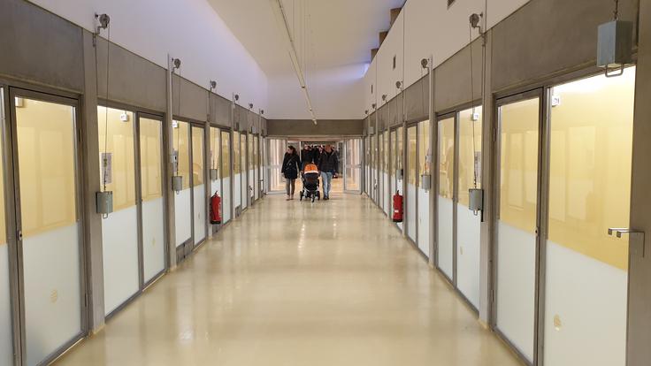 Zavetišče Ljubljana Gmajnice ljubljenčki pes mačka | Foto: Metka Prezelj