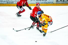 HDD Jesenice Asiago Alpska liga polfinale