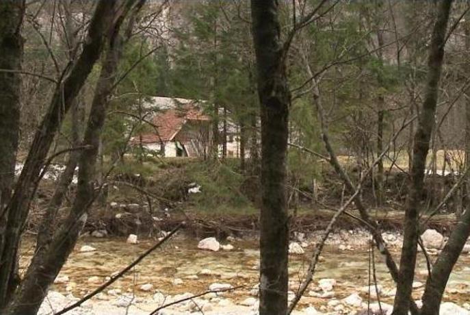 Na sojenju v zadevi Trenta zasliševali cenilce