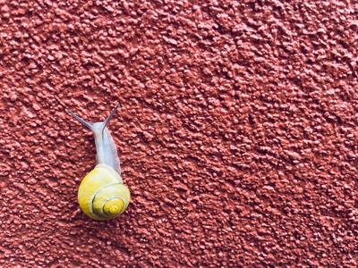 Nova fasada pa že madeži: prevarani ali le preveč zahtevni? #pravni nasvet