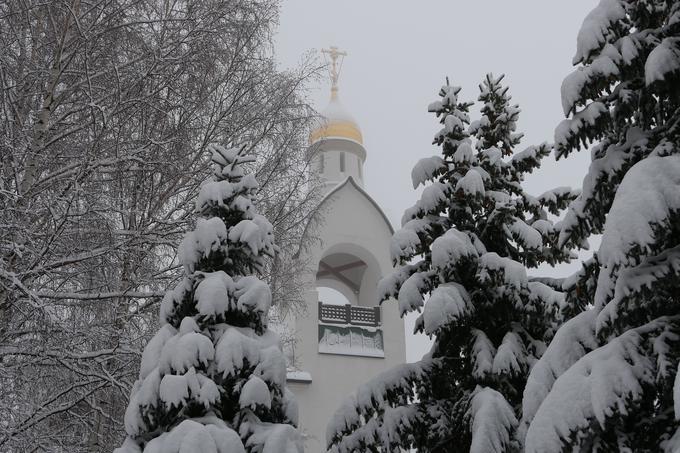 Zima, cerkev, prazniki, religija, božič, smreke, pravoslavna cerkev, | Foto: Shutterstock